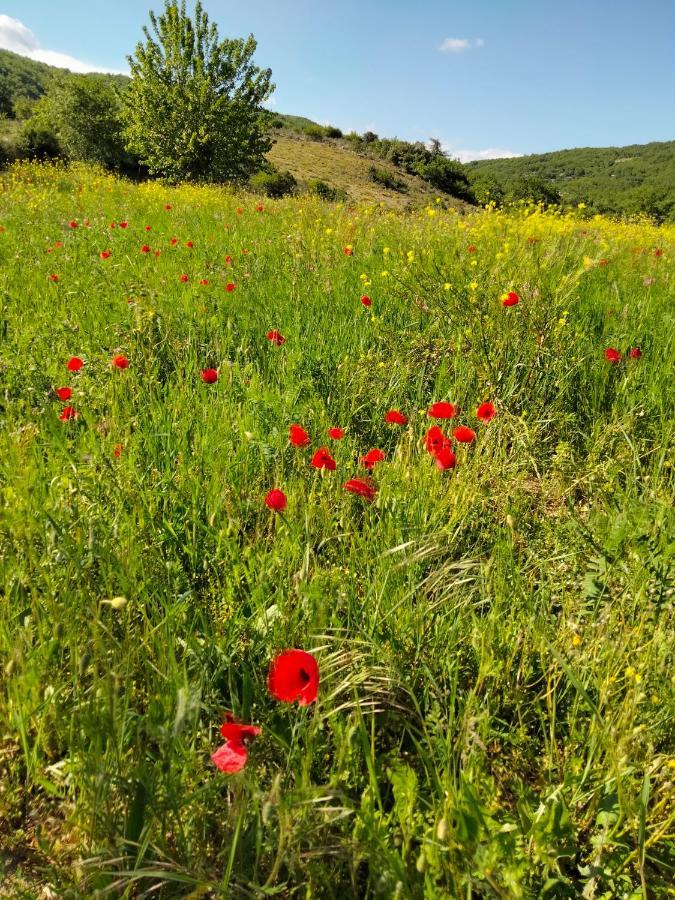 Отель La Grange De Sabatas Chomerac Экстерьер фото