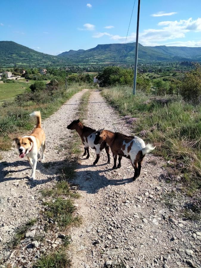 Отель La Grange De Sabatas Chomerac Экстерьер фото